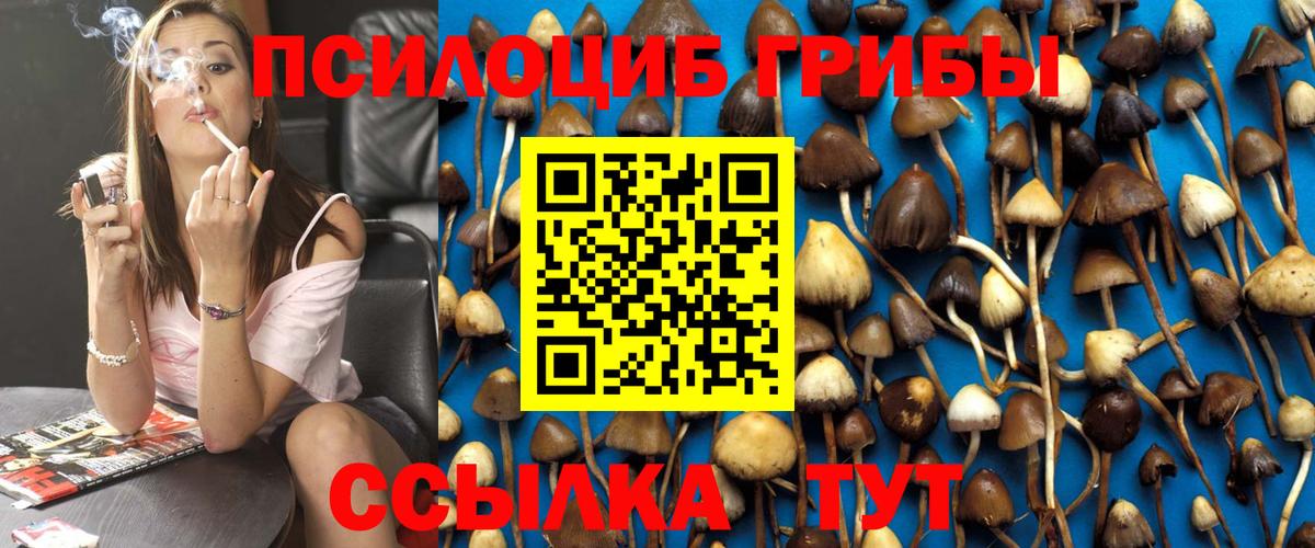 Псилоцибиновые грибы Psilocybine cubensis  Вход с VPN  купить  сайты  Еманжелинск  Псилоцибиновые грибы Cubensis 